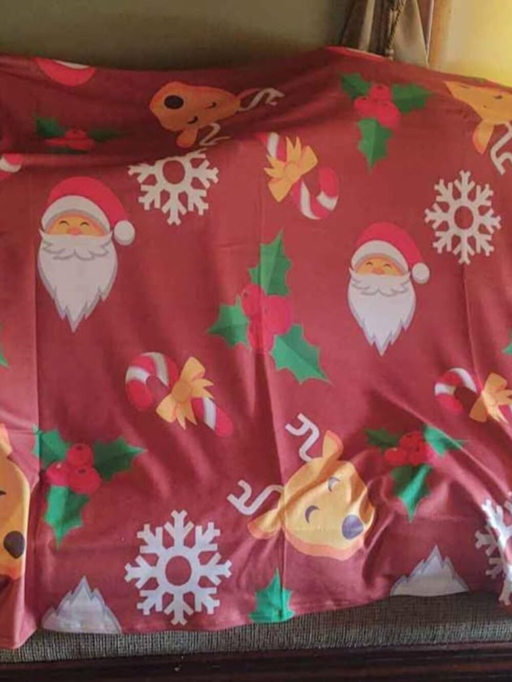 Brand New Polyester Christmas Blanket